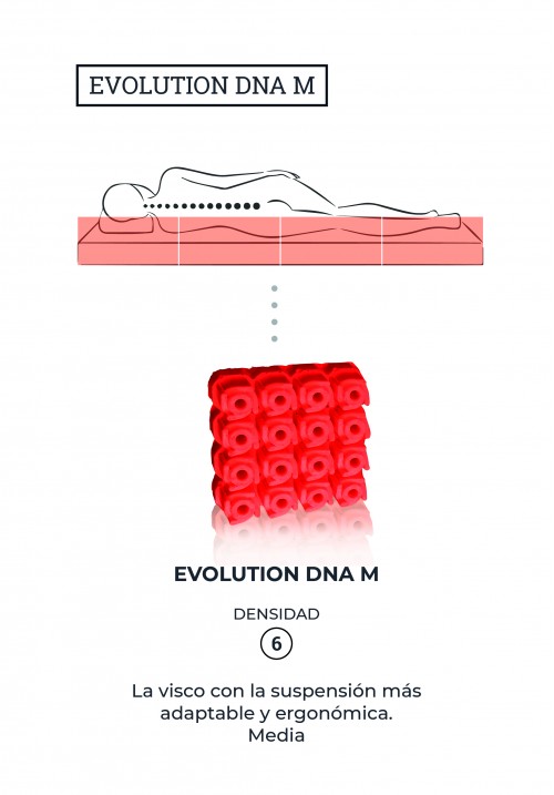 Cápsula Evolution DNA M